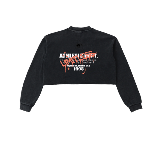 Snow Washed Raw Edge Cropped Sweatshirt