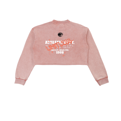 Snow Washed Raw Edge Cropped Sweatshirt