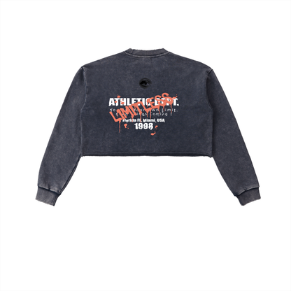 Snow Washed Raw Edge Cropped Sweatshirt