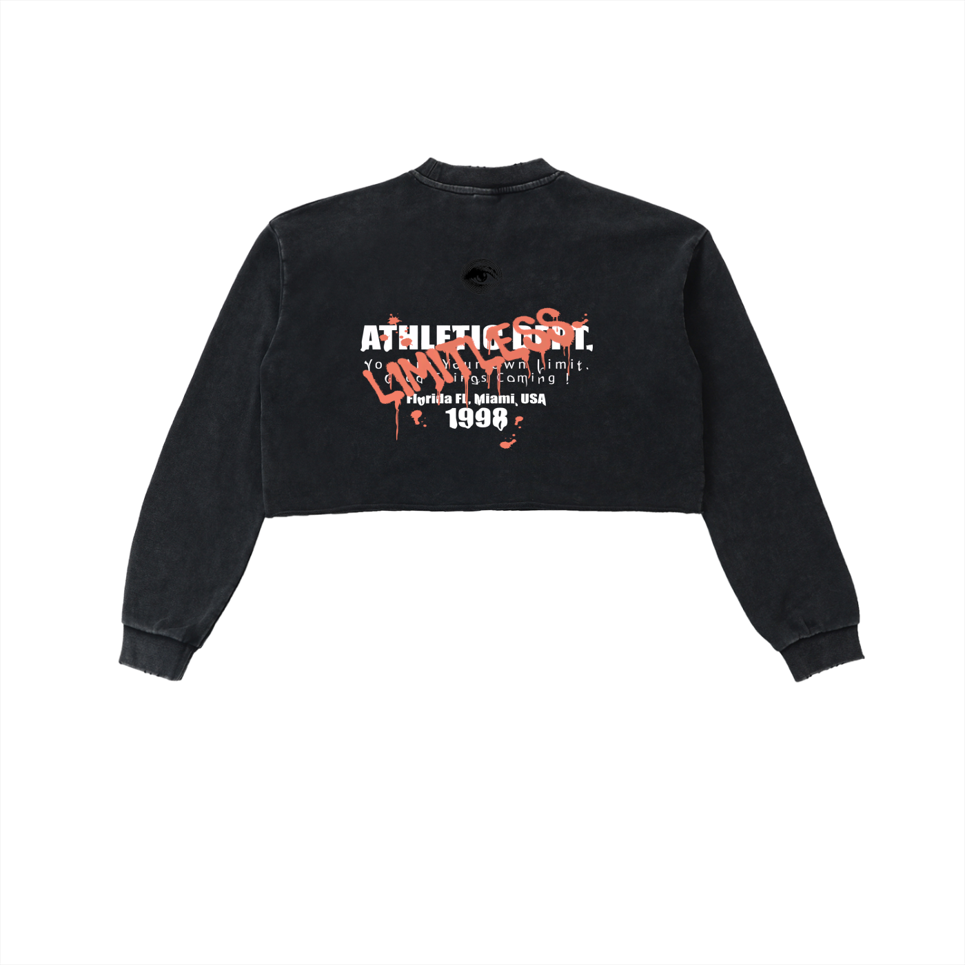 Snow Washed Raw Edge Cropped Sweatshirt